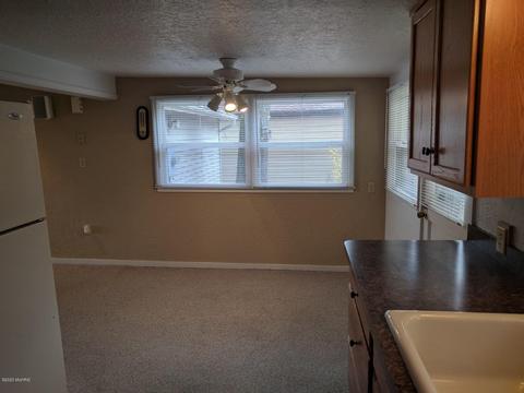 9580 E Colby Rd, Crystal, MI 48818 photo 29