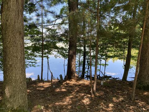 6225 E Division St, Newaygo, MI 49337 photo 27