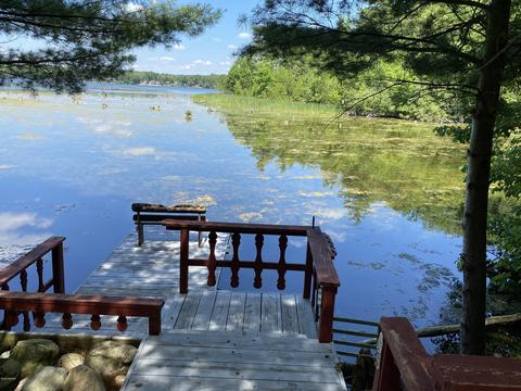 6225 E Division St, Newaygo, MI 49337 photo 16