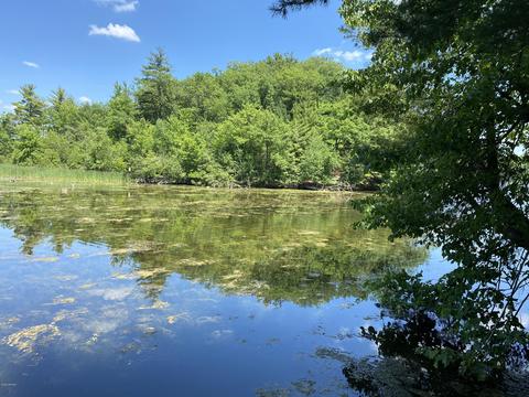 6225 E Division St, Newaygo, MI 49337 photo 18
