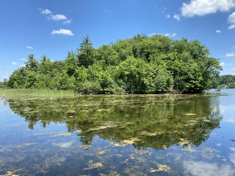 6225 E Division St, Newaygo, MI 49337 photo 21