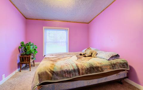 1036 108th Ave, Plainwell, MI 49080 photo 26