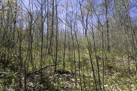 3553 W 4 Mile Rd, White Cloud, MI 49349 photo 28