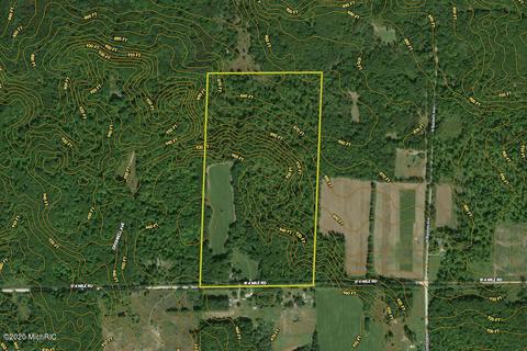 3553 W 4 Mile Rd, White Cloud, MI 49349 photo 19