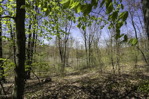 3553 W 4 Mile Rd, White Cloud, MI 49349 photo 30