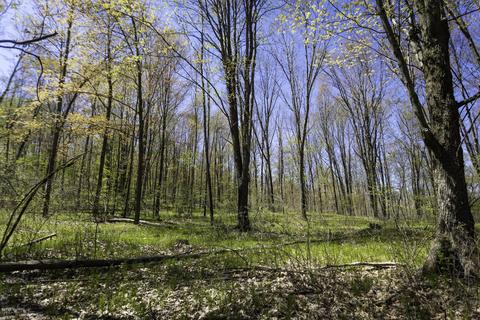 3553 W 4 Mile Rd, White Cloud, MI 49349 photo 24