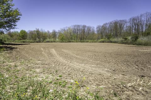 3553 W 4 Mile Rd, White Cloud, MI 49349 photo 22