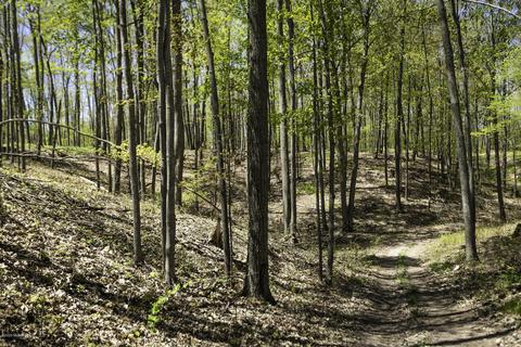 3553 W 4 Mile Rd, White Cloud, MI 49349 photo 23
