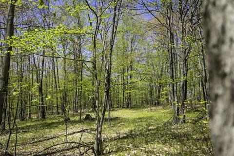 3553 W 4 Mile Rd, White Cloud, MI 49349 photo 31