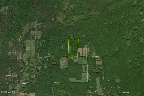 3553 W 4 Mile Rd, White Cloud, MI 49349 photo 20