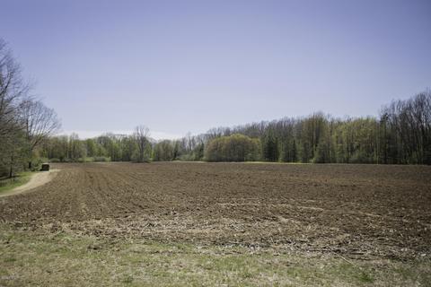 3553 W 4 Mile Rd, White Cloud, MI 49349 photo 26