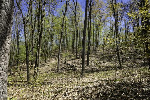3553 W 4 Mile Rd, White Cloud, MI 49349 photo 29