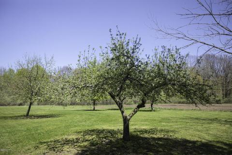 3553 W 4 Mile Rd, White Cloud, MI 49349 photo 21