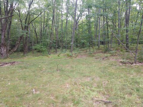 8948 E Barx Rd, Chase, MI 49623 photo 15