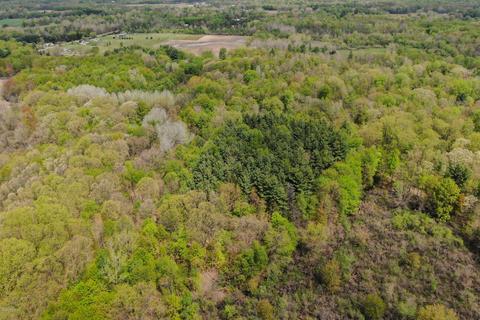 7032 35th St, Gobles, MI 49055 photo 52