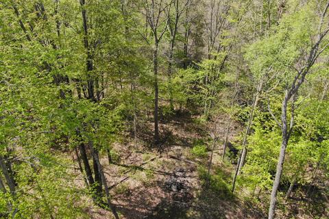 7032 35th St, Gobles, MI 49055 photo 59