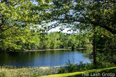 17720 White Rd, Bailey, MI 49303 photo 11