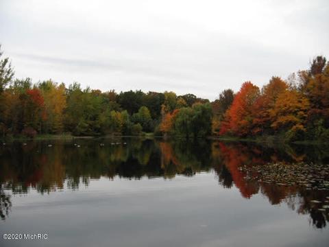 17720 White Rd, Bailey, MI 49303 photo 40