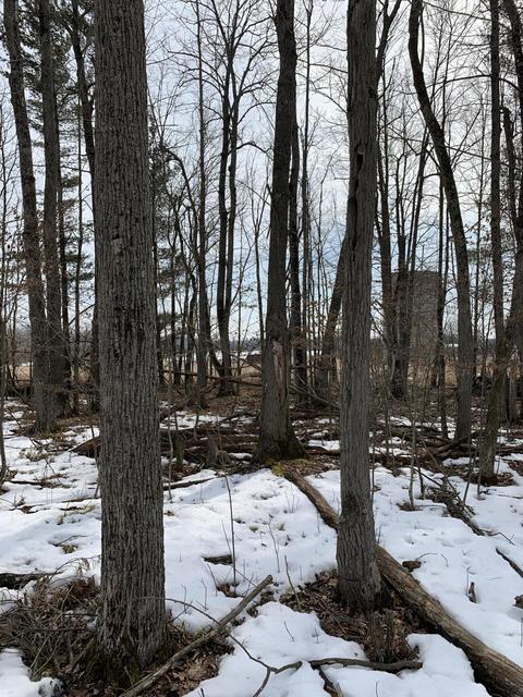 10106 Pine Rd, Marion, MI 49665 photo 19