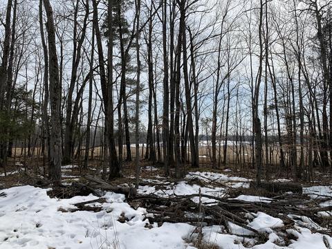 10106 Pine Rd, Marion, MI 49665 photo 20