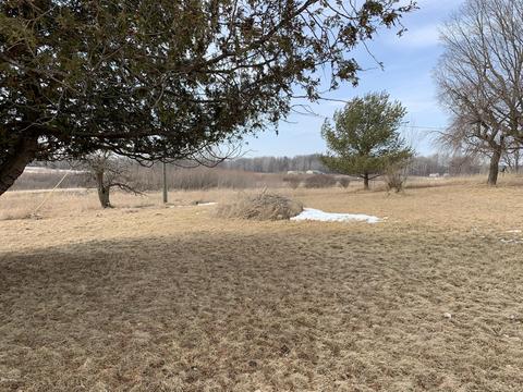 10106 Pine Rd, Marion, MI 49665 photo 11
