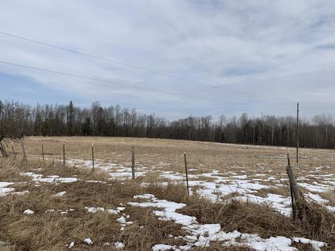 10106 Pine Rd, Marion, MI 49665 photo 10