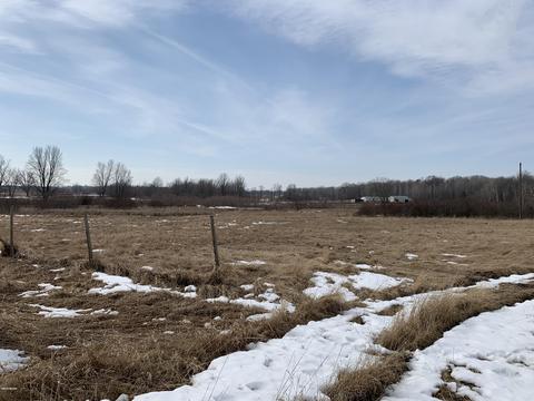 10106 Pine Rd, Marion, MI 49665 photo 14
