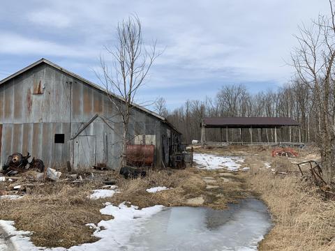 10106 Pine Rd, Marion, MI 49665 photo 5