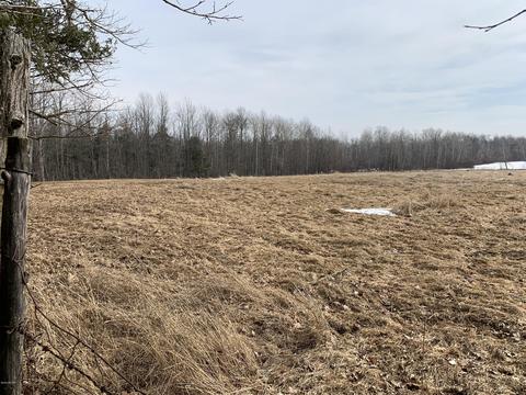 10106 Pine Rd, Marion, MI 49665 photo 21