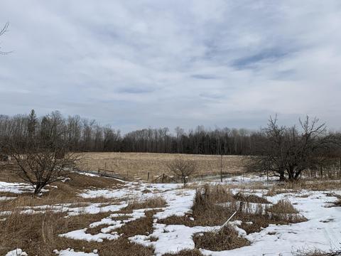10106 Pine Rd, Marion, MI 49665 photo 12