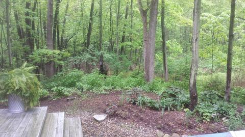 13770 Rea Ave, Harbert, MI 49115 photo 30