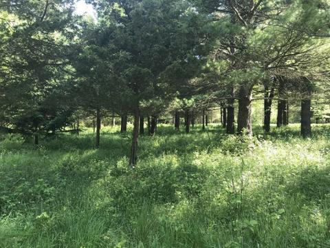 Lot 11 Creekwood Drive, South Haven, MI 49090