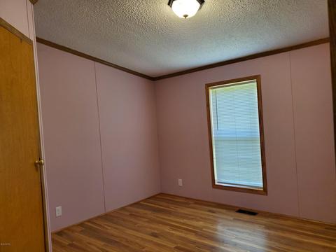 9913 Button Rd, Belding, MI 48809 photo 17