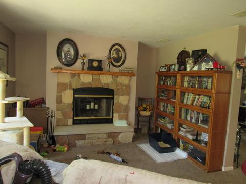 4867 E 36th St, Newaygo, MI 49337 photo 10