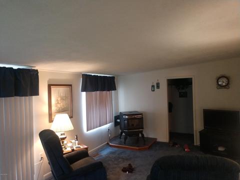 12095 55th Ave, Remus, MI 49340 photo 5