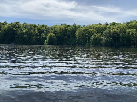 4805 River St, Newaygo, MI 49337 photo 2