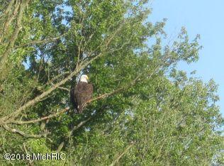 58061 Oak Park Rd, Three Rivers, MI 49093 photo 7