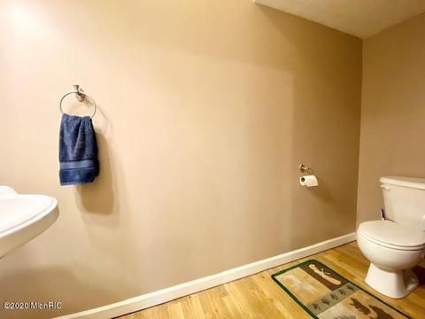 28 E Maple St, Fremont, MI 49412 photo 13