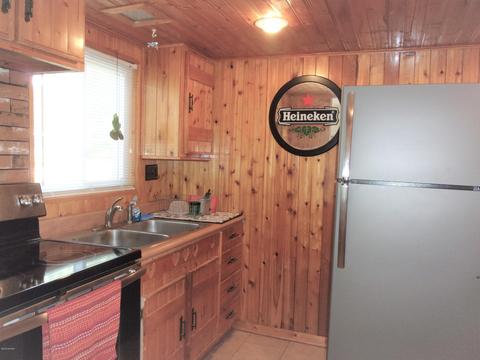 9291 Chief St, Reading, MI 49274 photo 25