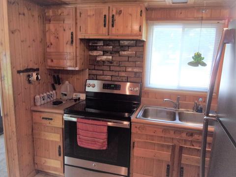 9291 Chief St, Reading, MI 49274 photo 27