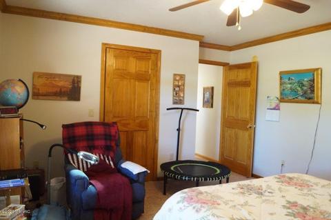 3370 Juniper Dr, Farwell, MI 48622 photo 13