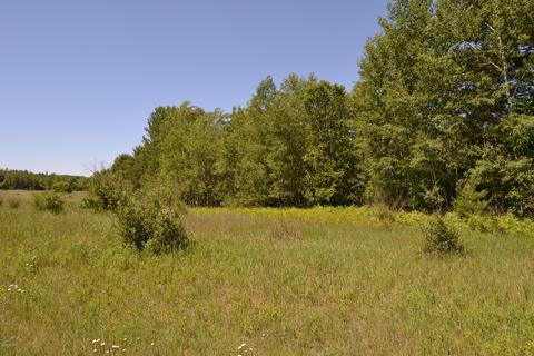 16536 Jefferson Rd, Morley, MI 49336 photo 61