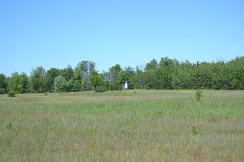 16536 Jefferson Rd, Morley, MI 49336 photo 57