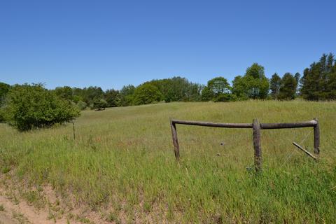16536 Jefferson Rd, Morley, MI 49336 photo 45
