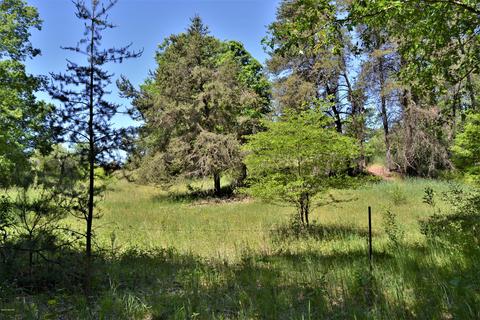 16536 Jefferson Rd, Morley, MI 49336 photo 53