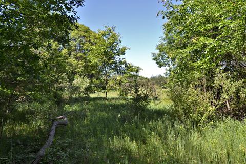 16536 Jefferson Rd, Morley, MI 49336 photo 54