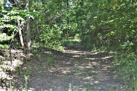 16536 Jefferson Rd, Morley, MI 49336 photo 51