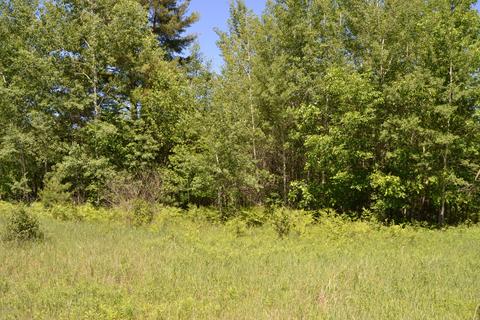 16536 Jefferson Rd, Morley, MI 49336 photo 60