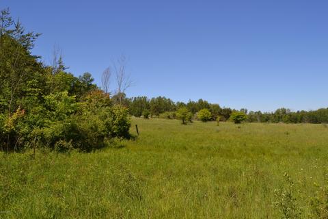 16536 Jefferson Rd, Morley, MI 49336 photo 55