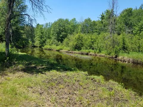 2394 3 Mile, Sears, MI 49679 photo 4